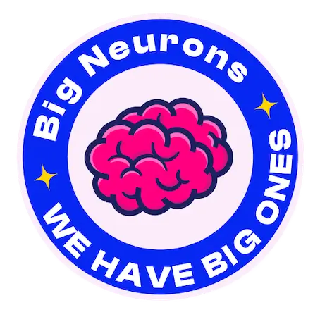 Big Neurons
