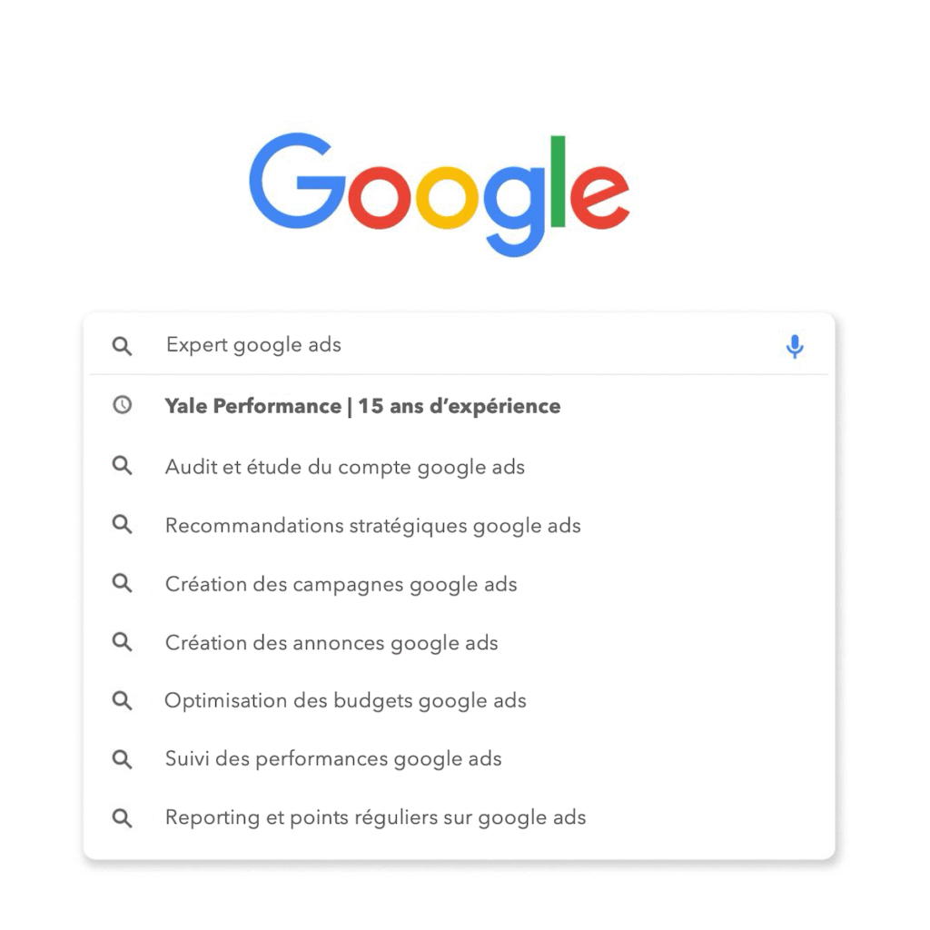 expert google ads
